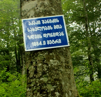 სამტრედიის მუნიციპალიტეტის უმაღლეს წერტილს აკაკი შანიძის სახელი მიენიჭა