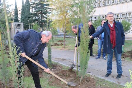 „დაურგე ხე შენს უნივერსიტეტს!” –გამწვანების აქცია თსუ-ს მაღლივ კორპუსთან